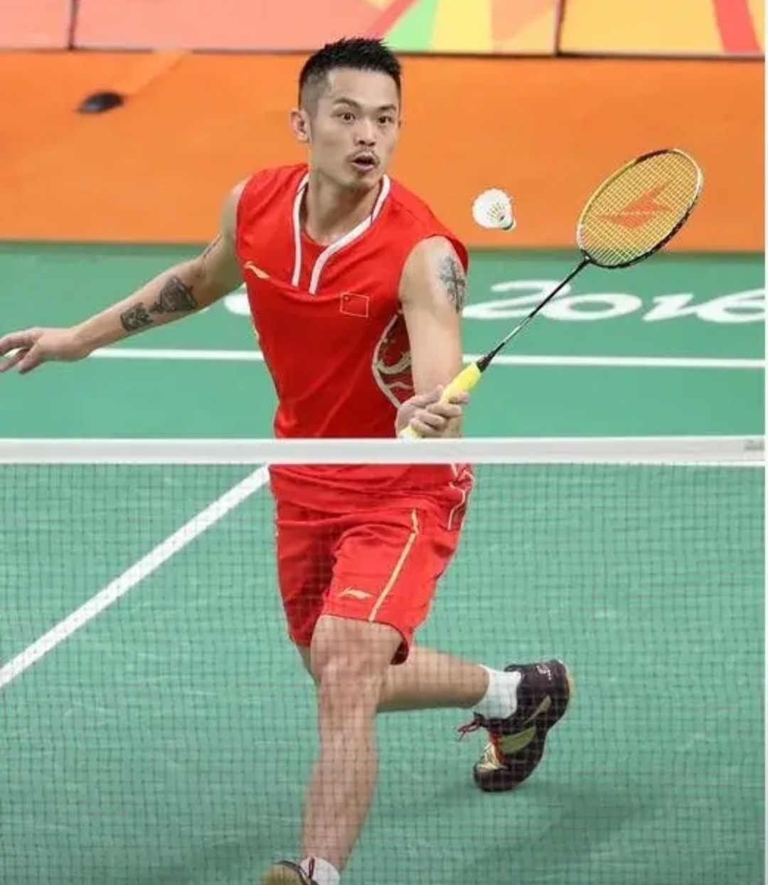 本届中国羽 本届中国羽