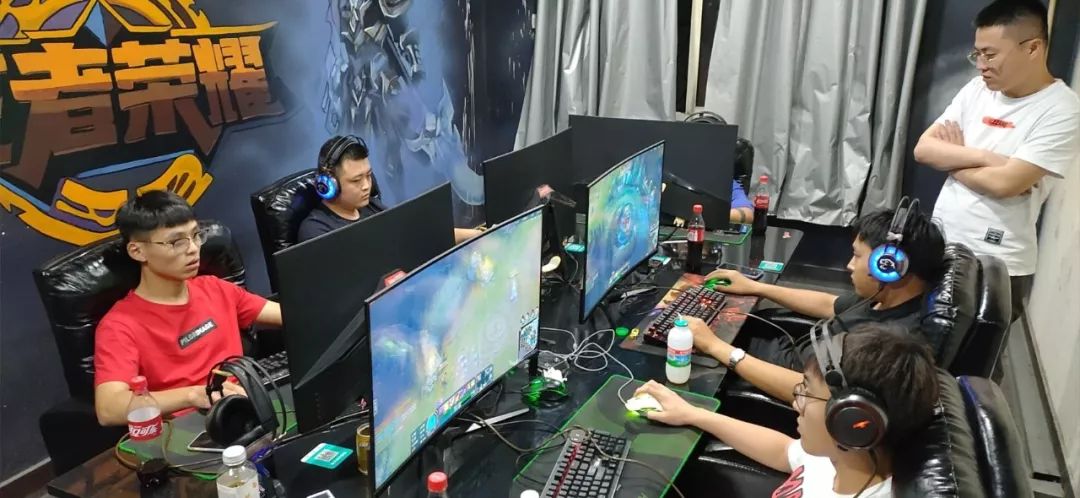 尼苏达森林 尼苏达森林