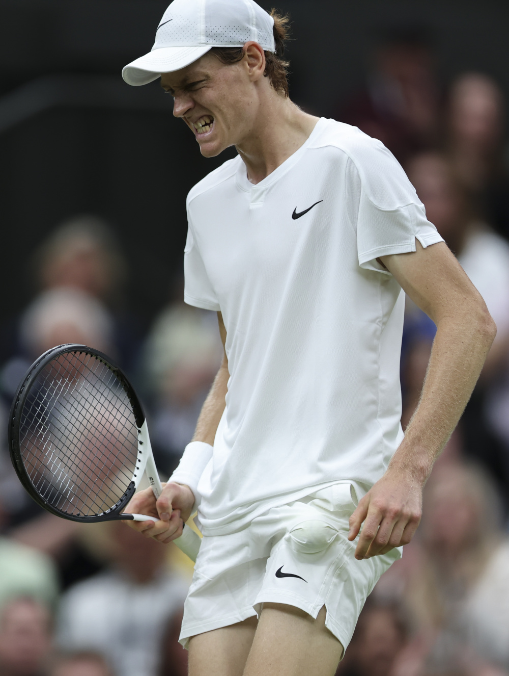 帕雷霍挺身 帕雷霍挺身