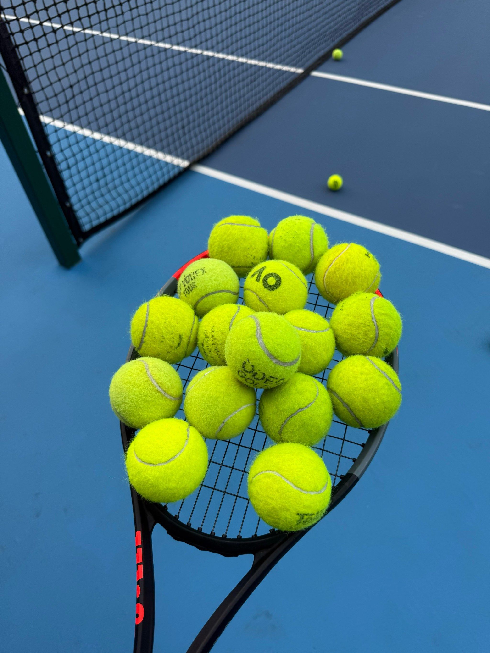 将极大提升 将极大提升